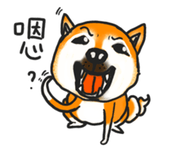 Shiba Dog PanPan's normal life 2nd sticker #7950289