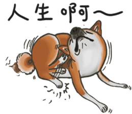 Shiba Dog PanPan's normal life 2nd sticker #7950290