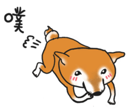 Shiba Dog PanPan's normal life 2nd sticker #7950291