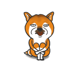 Shiba Dog PanPan's normal life 2nd sticker #7950293
