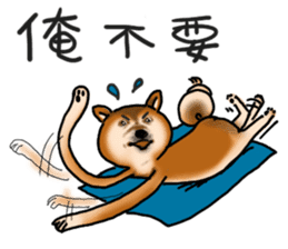 Shiba Dog PanPan's normal life 2nd sticker #7950294