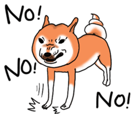 Shiba Dog PanPan's normal life 2nd sticker #7950297