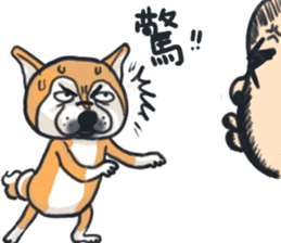 Shiba Dog PanPan's normal life 2nd sticker #7950299