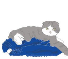 FoldsFoldsFolds KING sticker #7952230