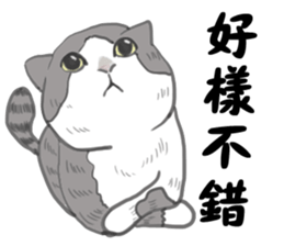 FoldsFoldsFolds KING sticker #7952254