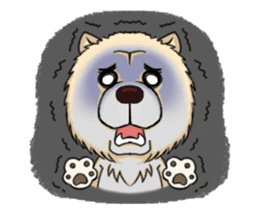 Chow Chow Polar Bear in Taiwan sticker #7952881