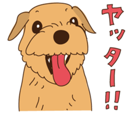 Lovable Norfolkterrier!! sticker #7954543