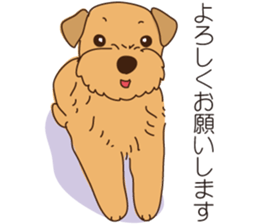 Lovable Norfolkterrier!! sticker #7954544