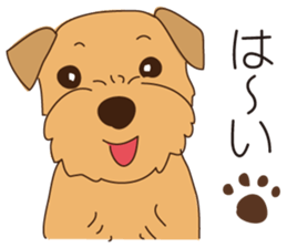 Lovable Norfolkterrier!! sticker #7954553