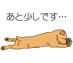 Lovable Norfolkterrier!! sticker #7954556