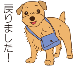 Lovable Norfolkterrier!! sticker #7954561