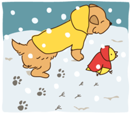 Lovable Norfolkterrier!! sticker #7954575