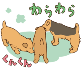 Lovable Norfolkterrier!! sticker #7954576