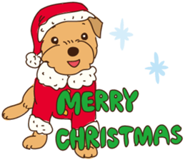 Lovable Norfolkterrier!! sticker #7954579