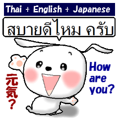 Thai + English + Japanese.  cute rabbit