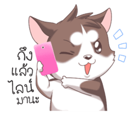 Cocoa Siberian Husky Vol.2 sticker #7957349