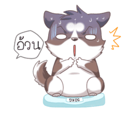 Cocoa Siberian Husky Vol.2 sticker #7957351