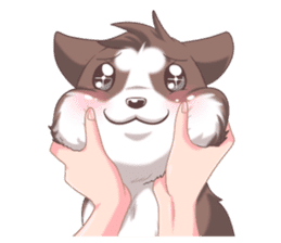 Cocoa Siberian Husky Vol.2 sticker #7957358