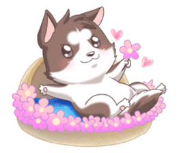 Cocoa Siberian Husky Vol.2 sticker #7957368