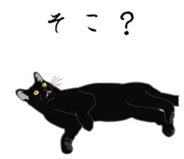 Rial-based black cat sticker #7957620
