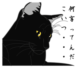 Rial-based black cat sticker #7957622