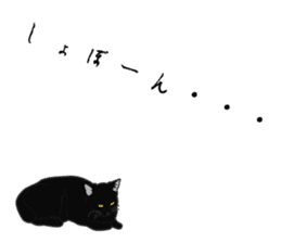 Rial-based black cat sticker #7957624