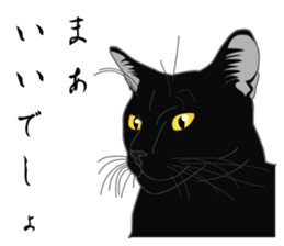 Rial-based black cat sticker #7957625