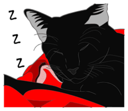 Rial-based black cat sticker #7957628