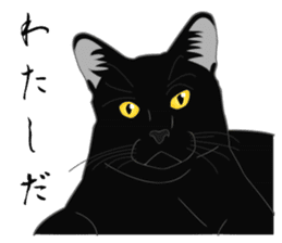 Rial-based black cat sticker #7957630