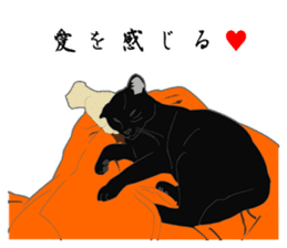 Rial-based black cat sticker #7957631