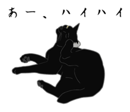 Rial-based black cat sticker #7957632