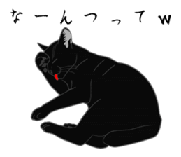 Rial-based black cat sticker #7957633