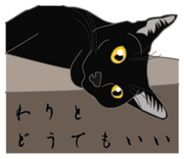 Rial-based black cat sticker #7957634
