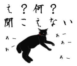 Rial-based black cat sticker #7957636