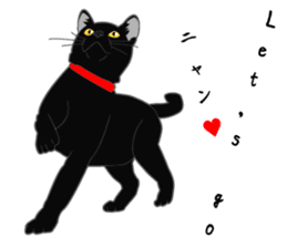 Rial-based black cat sticker #7957637