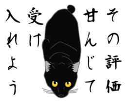 Rial-based black cat sticker #7957638