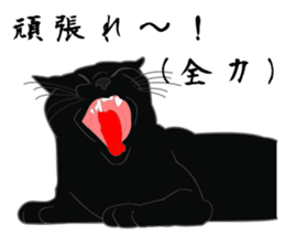 Rial-based black cat sticker #7957639