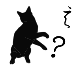 Rial-based black cat sticker #7957640