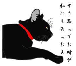 Rial-based black cat sticker #7957641