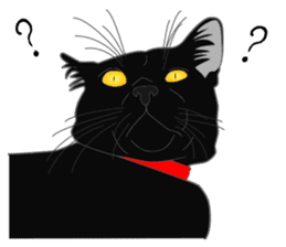 Rial-based black cat sticker #7957642
