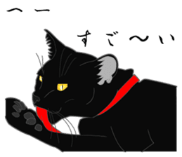 Rial-based black cat sticker #7957645