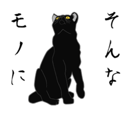 Rial-based black cat sticker #7957649