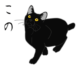 Rial-based black cat sticker #7957652