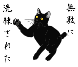 Rial-based black cat sticker #7957653