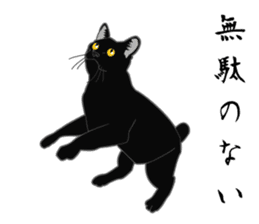 Rial-based black cat sticker #7957654