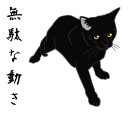 Rial-based black cat sticker #7957655