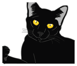 Rial-based black cat sticker #7957657