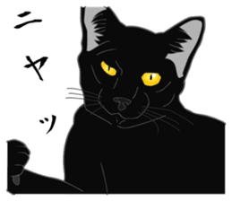 Rial-based black cat sticker #7957658