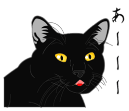 Rial-based black cat sticker #7957659