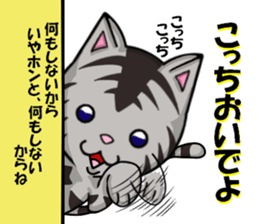 cats cats part4 sticker #7959232